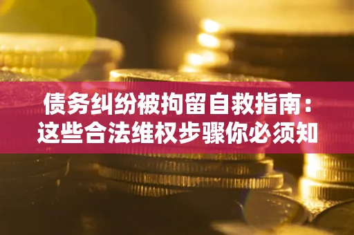 济南债务纠纷被拘留自救指南：这些合法维权步骤你必须知道！