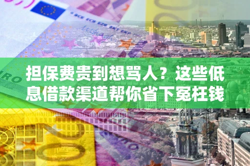 济南担保费贵到想骂人？这些低息借款渠道帮你省下冤枉钱