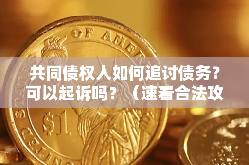 济南共同债权人如何追讨债务？可以起诉吗？（速看合法攻略）