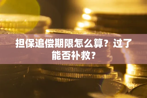 济南担保追偿期限怎么算？过了能否补救？